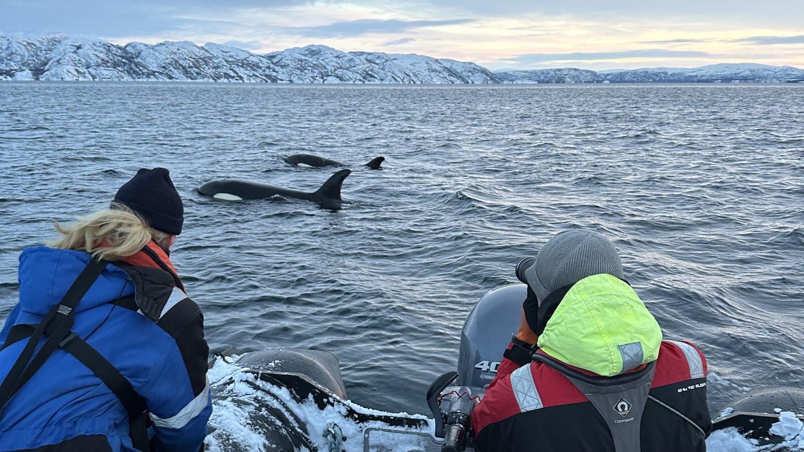 Tyfbb Sagolika färger i Nordnorge – PolarQuest